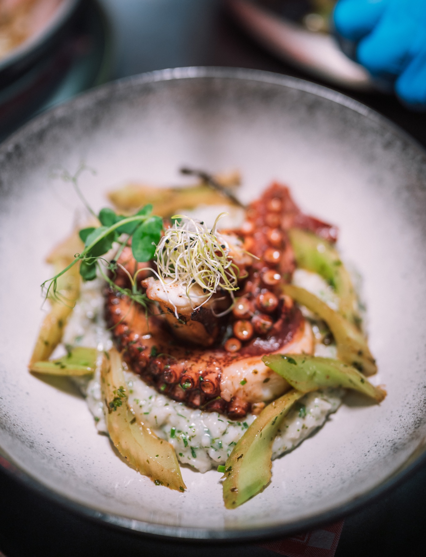 Oktopus mit Risotto — Küche HOCHoben