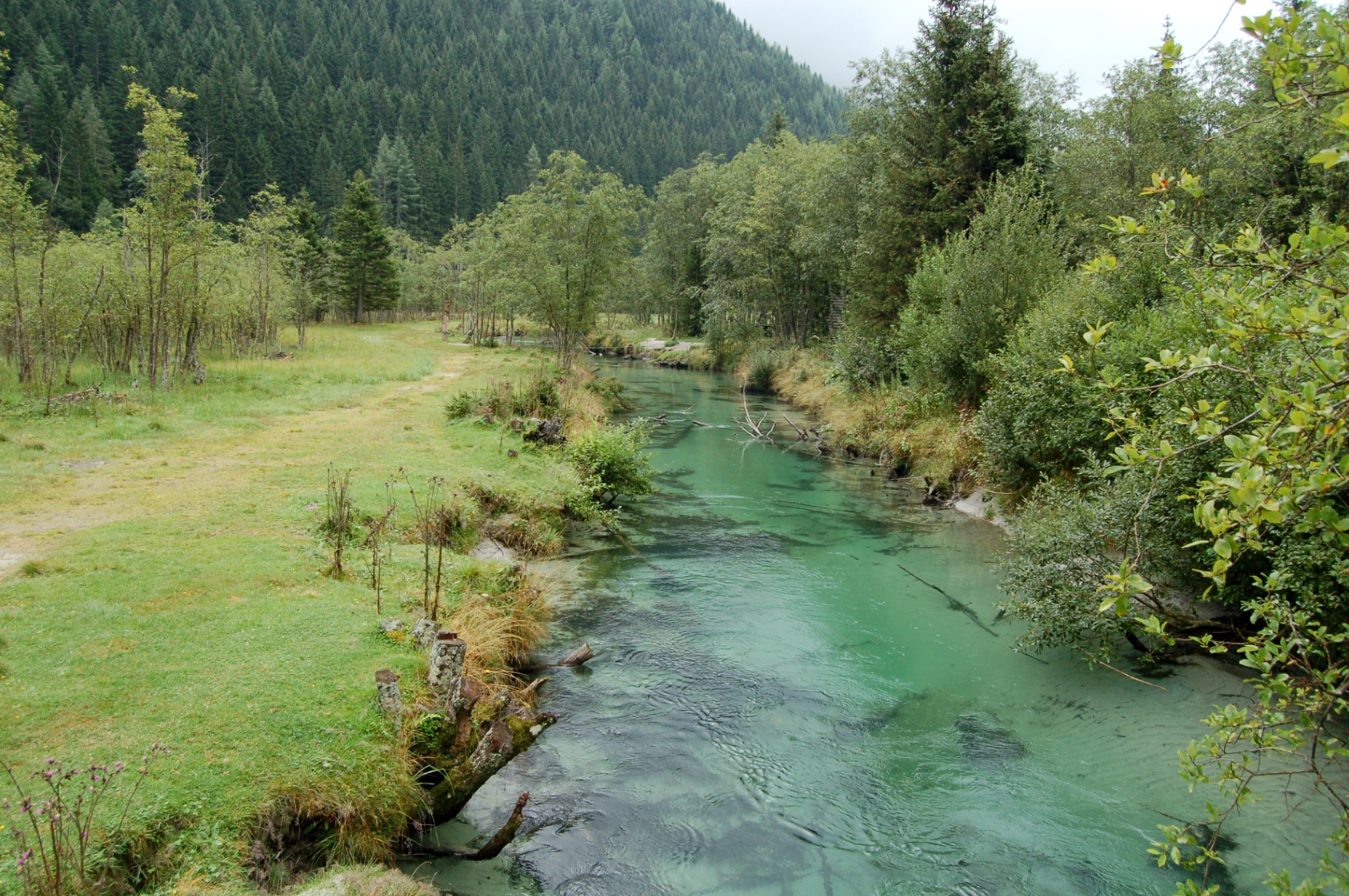 Türkisgrüner Gebirgsbach im Seebachtal